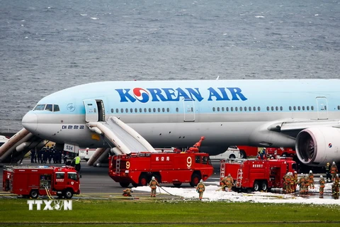 Máy bay Korean Air. (Ảnh: EPA/TTXVN)