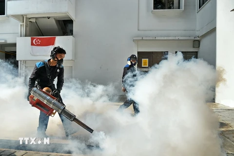 Nhân viên phun thuốc diệt muỗi tại Singapore. (Ảnh: AFP/TTXVN)