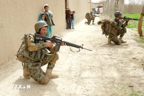 Cảnh sát Afghanistan. (Ảnh: THX/TTXVN)