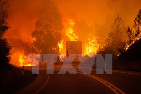 Ngọn lửa dữ dội trong vụ cháy rừng ở Pedrogao Grande, quận Leiria ngày 17/6 vừa qua. (Ảnh: EPA/TTXVN)