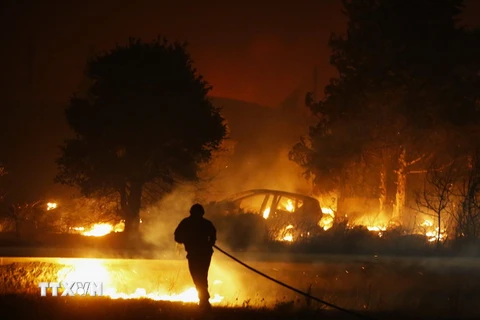 Lực lượng cứu hỏa dập lửa cháy rừng tại Biguglia, đảo Corse, Pháp ngày 24/7. (Ảnh: AFP/TTXVN)