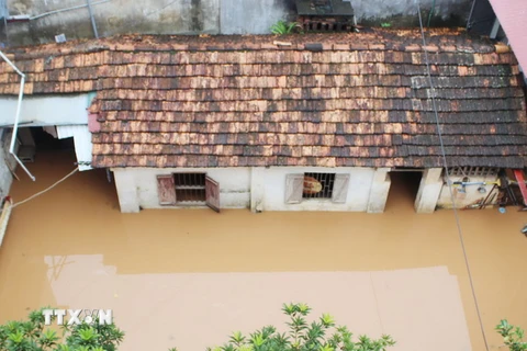 Mưa kéo dài khiến mực nước tại suối Nậm La, thành phố Sơn La dâng cao, gây ngập úng nhiều nhà cửa, hoa màu của người dân. (Ảnh: Nguyễn Cường/TTXVN)