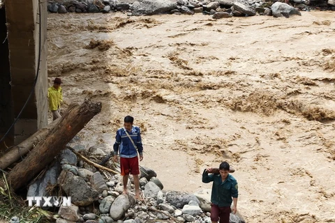 Bất chấp nước lũ người dân thị trấn Ít Ong, huyện Mường la vẫn đi vớt củi. (Ảnh: Nguyễn Cường/TTXVN)