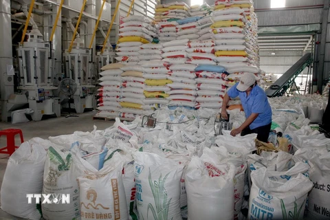 Chế biến gạo xuất khẩu tại Xí nghiệp Chế biến lương thực cao cấp Tân Túc, huyện Bình Chánh, Thành phố Hồ Chí Minh. (Ảnh: Đình Huệ/TTXVN)