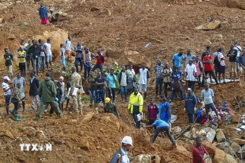 Lực lượng cứu hộ và người dân tìm kiếm người mất tích sau trận lở đất ở ngoại ô Freetown ngày 14/8. (Ảnh: EPA/TTXVN)