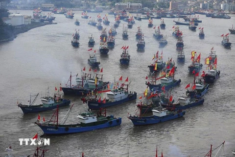 Tàu cá Trung Quốc rời cảng Shipu ở Ninh Ba, tỉnh Chiết Giang để ra khơi trên Biển Hoa Đông. (Ảnh: Getty Images/TTXVN)
