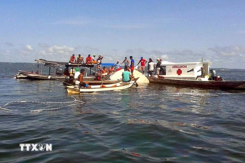 Lực lượng cứu hộ tìm kiếm các nạn nhân vụ chìm tàu trên sông Xingu ngày 23/8. (Ảnh: AFP/ TTXVN) 