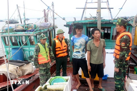 Lực lượng chức năng tiến hành kiểm tra tàu vi phạm khai thác thủy sản trái phép. (Ảnh: Nguyễn Hoàng/TTXVN)