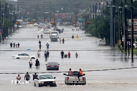 Cảnh ngập lụt do mưa lớn trong bão Harvey ở Houston, bang Texas ngày 27/8 tới. (Ảnh: AFP/TTXVN)