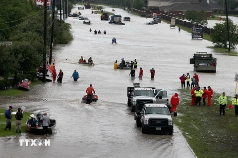 Ngập lụt ở Houston ngày 29/8. (Ảnh: AFP/TTXVN)