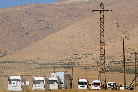 Đoàn xe chở các tay súng IS chuẩn bị rời khỏi Qara, tỉnh miền tây Qalamoun tới Deir al-Zour, ngày 28/8 vừa qua. (Ảnh: THX/TTXVN)