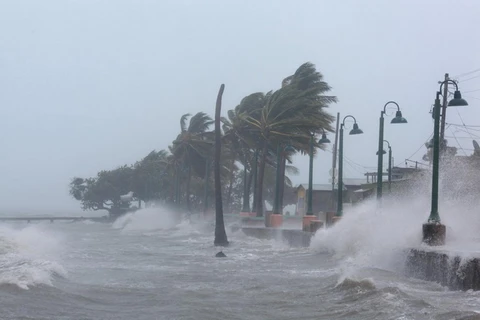 Bão Irma ở Puerto Rico. (Nguồn: Reuters)