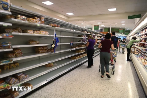 Người dân mua nhu yếu phẩm chuẩn bị đối phó với siêu bão Irma. (Ảnh: AFP/TTXVN)