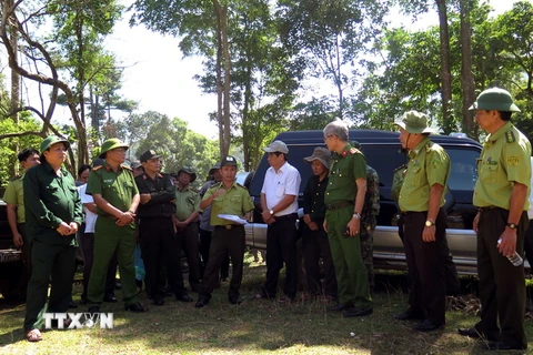 Lực lượng chức năng tỉnh Bình Định đang nghe kiểm lâm địa bàn báo cáo về vụ 43,7ha rừng tự nhiên ở huyện An Lão bị xóa sổ. (Ảnh: Nguyên Linh/TTXVN)