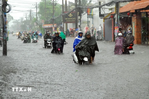 Mưa ngập đường ở TP.HCM. (Ảnh: Mạnh Linh/TTXVN)