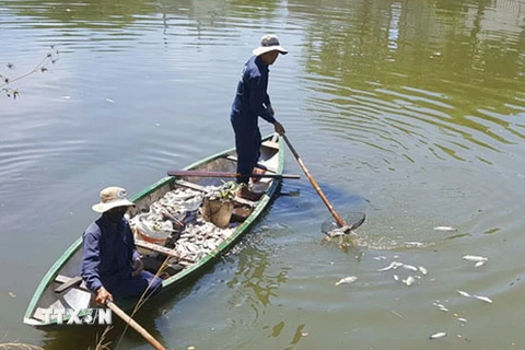 Ảnh chỉ mang tính minh họa. (Nguồn: Đinh Văn Nhiều/TTXVN)