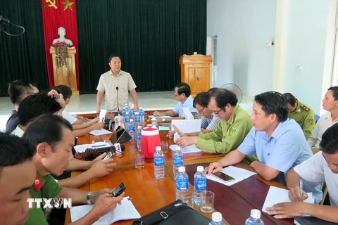Phó Chủ tịch UBND tỉnh Quảng Nam chỉ đạo xử lý vụ phá rừng tại Tiên Lãnh. (Ảnh: Nguyễn Sơn/TTXVN)