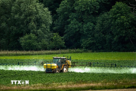 Nông dân phun thuốc diệt cỏ ở Bailleul, miền bắc nước Pháp. (Ảnh: AFP/TTXVN)