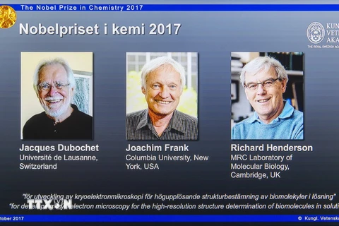 Ba nhà khoa học Jacques Dubochet, Joachim Frank và Richard Henderson. (Ảnh: THX/TTXVN)