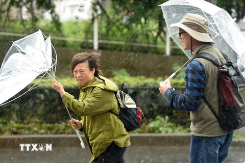 Mưa to gió lớn khi bão Lan đổ bộ vào Tokyo, Nhật Bản ngày 22/10. (Ảnh: AFP/TTXVN)
