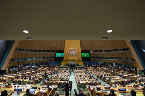 Một phiên ọp của Đại hội đồng Liên hợp quốc ở New York, Mỹ. (Ảnh: AFP/TTXVN)