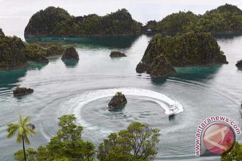 Hình ảnh Piaynemo tại Raja Ampat, Tây Papua, một trong những địa điểm du lịch đẹp nhất tại Indonesia. (Nguồn: antaranews.com)