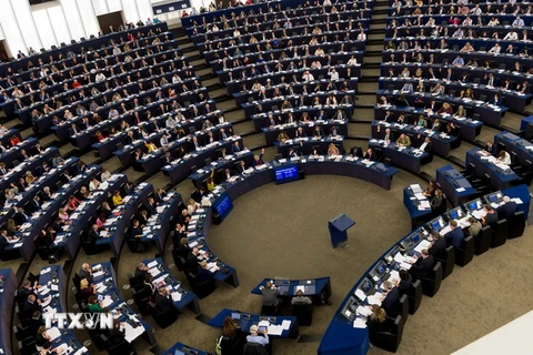 Toàn cảnh một cuộc họp Nghị viện châu Âu. (Ảnh: AFP/TTXVN)
