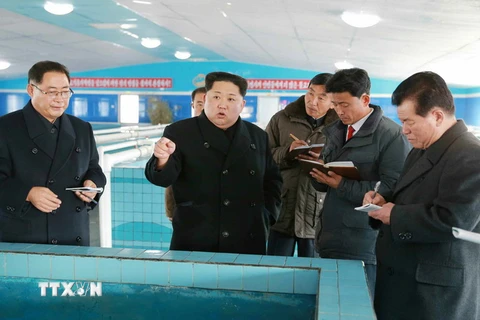 Nhà lãnh đạo Triều Tiên Kim Jong-un thăm một cơ sở sản xuất tại Suncheon, tỉnh Nam Pyongan. (Nguồn: Yonhap/TTXVN)