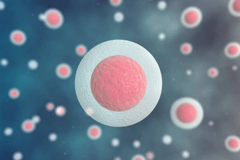 Liệu pháp gen sử dụng tế bào gốc tạo máu trong điều trị HIV/AIDS