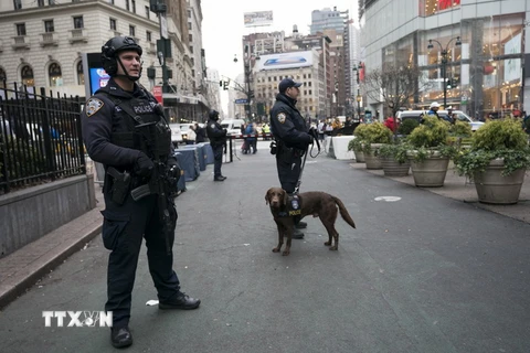 Cảnh sát tuần tra trên đường phố New York của Mỹ. (Ảnh: AFP/TTXVN)