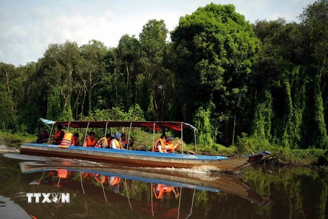 Du khách tham quan rừng tràm ngập nước tại khu du lịch làng nổi Tân Lập. (Ảnh: An Hiếu/TTXVN)