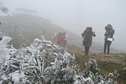 Đông đảo người dân và du khách kéo lên Khu du lịch Mẫu Sơn xem băng tuyết. (Ảnh: Hoàng Nam/TTXVN)