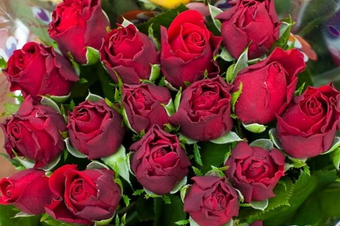 Australia nhập khẩu 10,5 triệu bông hoa hồng nhân dịp Valentine