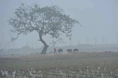 Sương mù mờ ảo tạo khung cảnh tuyệt đẹp tại Tràng An, tỉnh Ninh Bình. (Ảnh: Minh Đức/TTXVN)