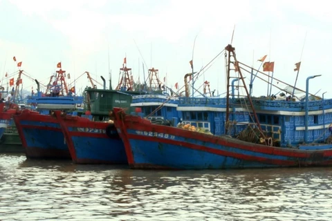 Tàu cá về trú bão tại cảng Tịnh Kỳ, thành phố Quảng Ngãi. (Ảnh: Phước Ngọc/TTXVN)