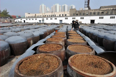 Đậu nành tại một nhà máy sản xuất nước tương ở Hong Kong, Trung Quốc. (Ảnh: AFP/TTXVN)