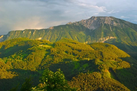 Hiện tượng các đỉnh núi châu Âu được phủ xanh ngày càng tăng