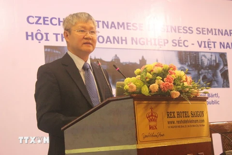 Ông Võ Tân Thành, Phó Chủ tịch VCCI phát biểu tại hội thảo. (Ảnh: Xuân Anh/TTXVN)