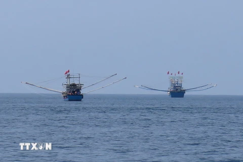 Tàu cá của ngư dân khai thác hải sản. (Ảnh: Nguyên Lý/TTXVN)