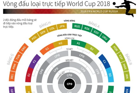 [Infographics] Lịch vòng đấu loại trực tiếp của World Cup 2018