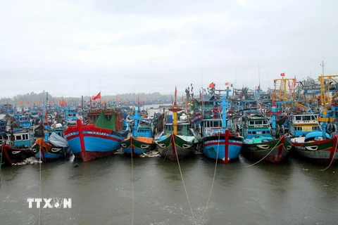 Tàu thuyền neo đậu tại cảng cá Tịnh Kỳ, thành phố Quảng Ngãi. (Ảnh: Phước Ngọc/TTXVN)