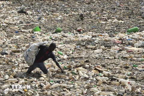 Thu nhập nhựa phế thải trên con kênh ở Ebrie Lagoon, thủ đô Abidjan, Cote dIvoire. (Ảnh: AFP/TTXVN)