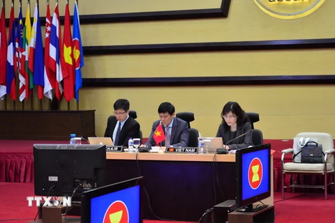 Đại diện Việt Nam tại ASEAN đồng chủ trì cuộc họp. (Ảnh: Phái đoàn Việt Nam tại ASEAN cung cấp)