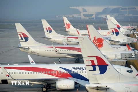 Máy bay của hãng hàng không Malaysia Airlines. (Ảnh: AFP/TTXVN)