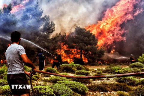 Lính cứu hỏa nỗ lực dập lửa cháy rừng ở Verori, gần thành phố Loutraki, Peloponnese, miền nam Hy Lạp ngày 24/7 vừa qua. (Ảnh: EPA-EFE/TXVN)