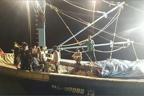 Nghệ An: Khẩn trương tìm kiếm thuyền viên mất tích trên biển