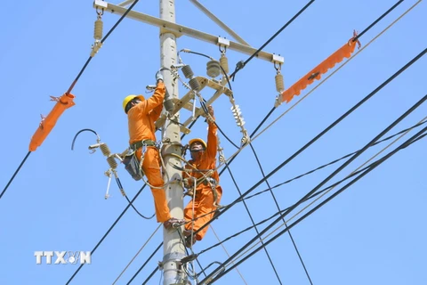 Công nhân điện lực thay mới đường dây cấp điện. (Ảnh: Nguyên Linh/TTXVN)