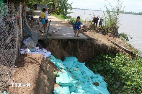Điểm sạt lở bờ sông Tiền đang diễn biến nghiêm trọng trên địa phận xã Hòa An, thành phố Cao Lãnh, tỉnh Đồng Tháp. (Ảnh: Nguyễn Văn Trí/TTXVN)