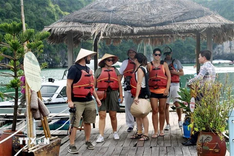 Từ đầu năm đến nay, có khoảng 170.000 lượt khách đến tham quan mô hình nuôi trồng thủy sản kết hợp làm du lịch ở Vung Viêng. (Ảnh: Văn Đức/TTXVN) 