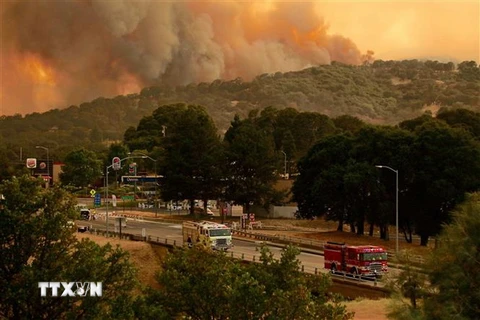Lửa cháy rừng bốc ngùn ngụt tại Mendocino ở Lakeport, California ngày 29/7 vừa qua. (Ảnh: EFE/TTXVN) 